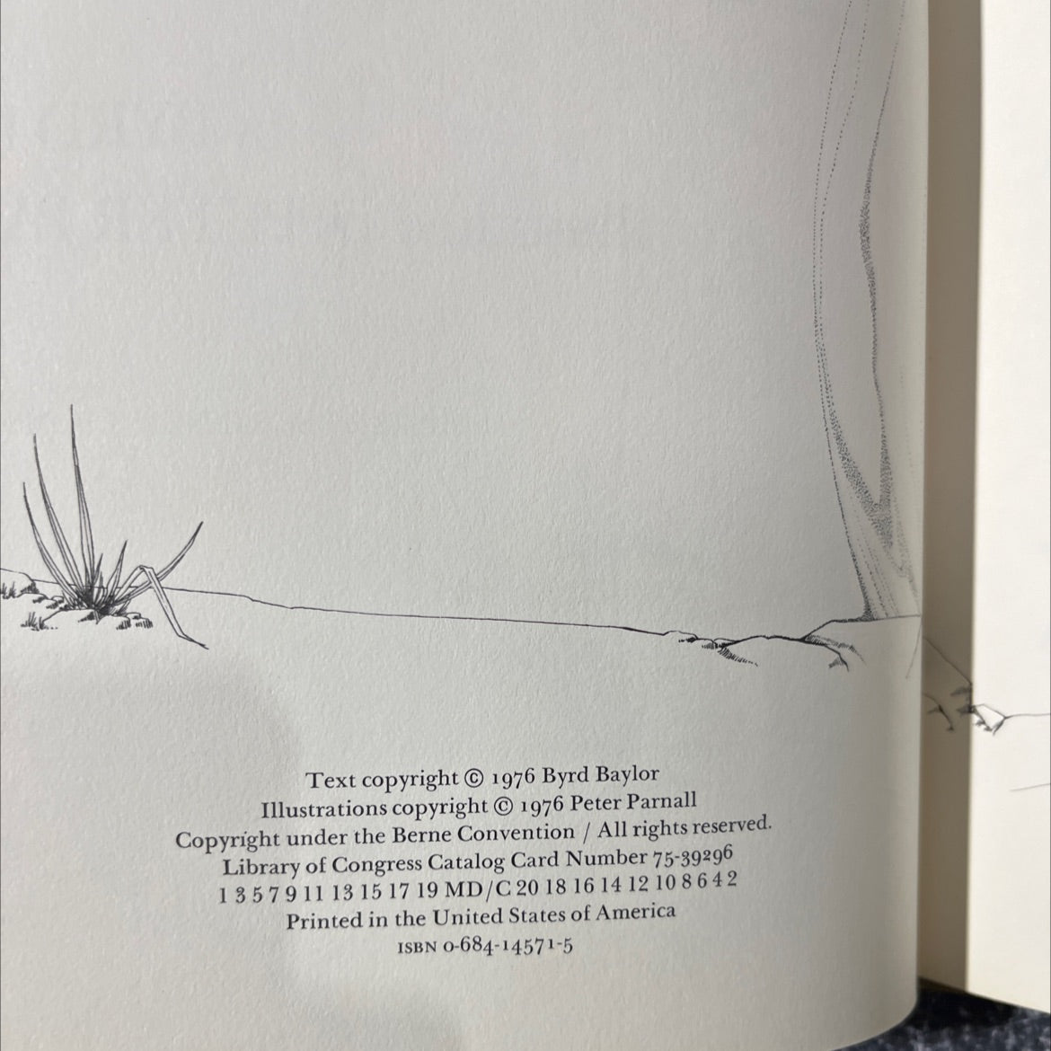 SIGNED hawk, i'm your brother book, by byrd baylor, 1976 Hardcover, Vintage image 3