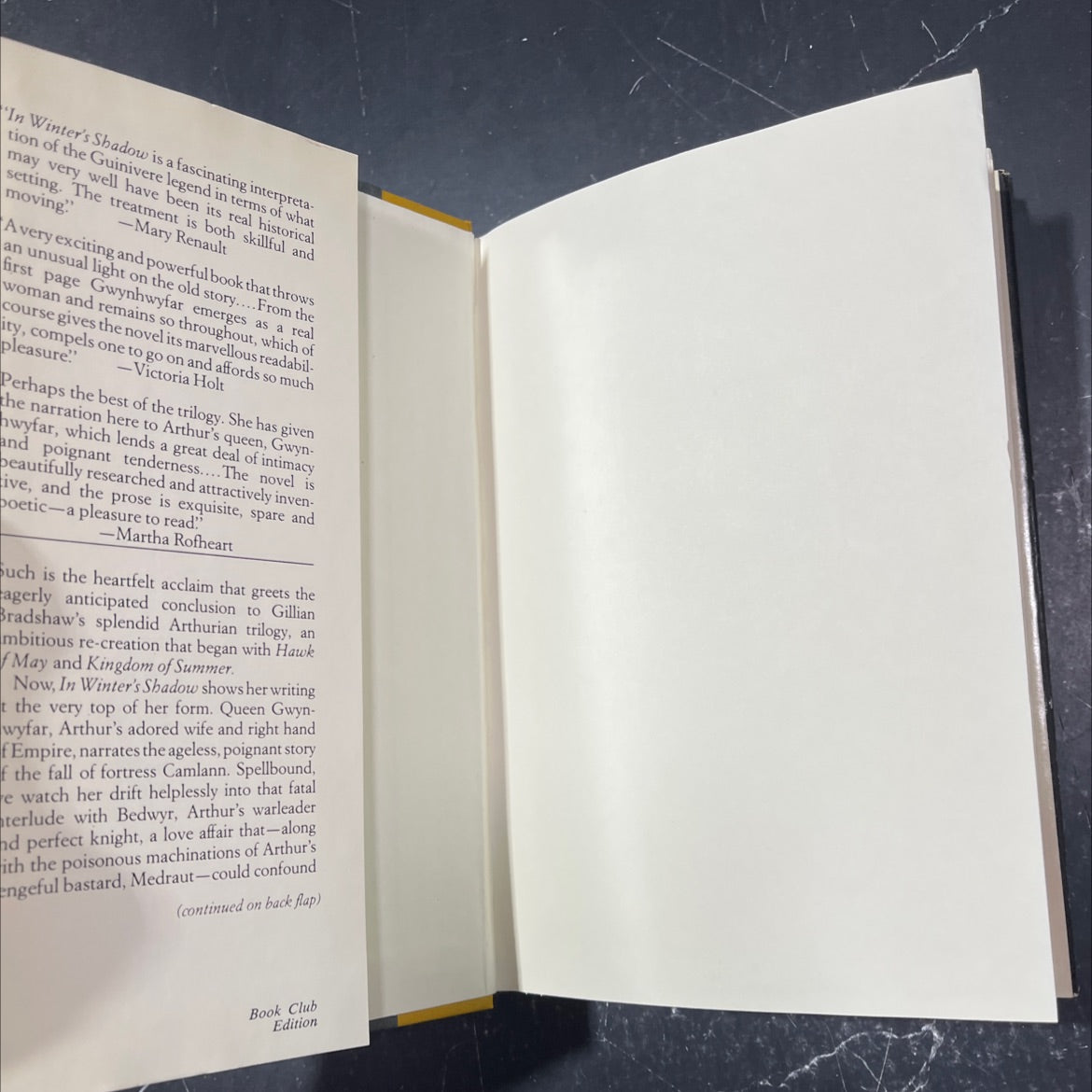 hawk of may book, by gillian bradshaw, 1982 Hardcover image 4