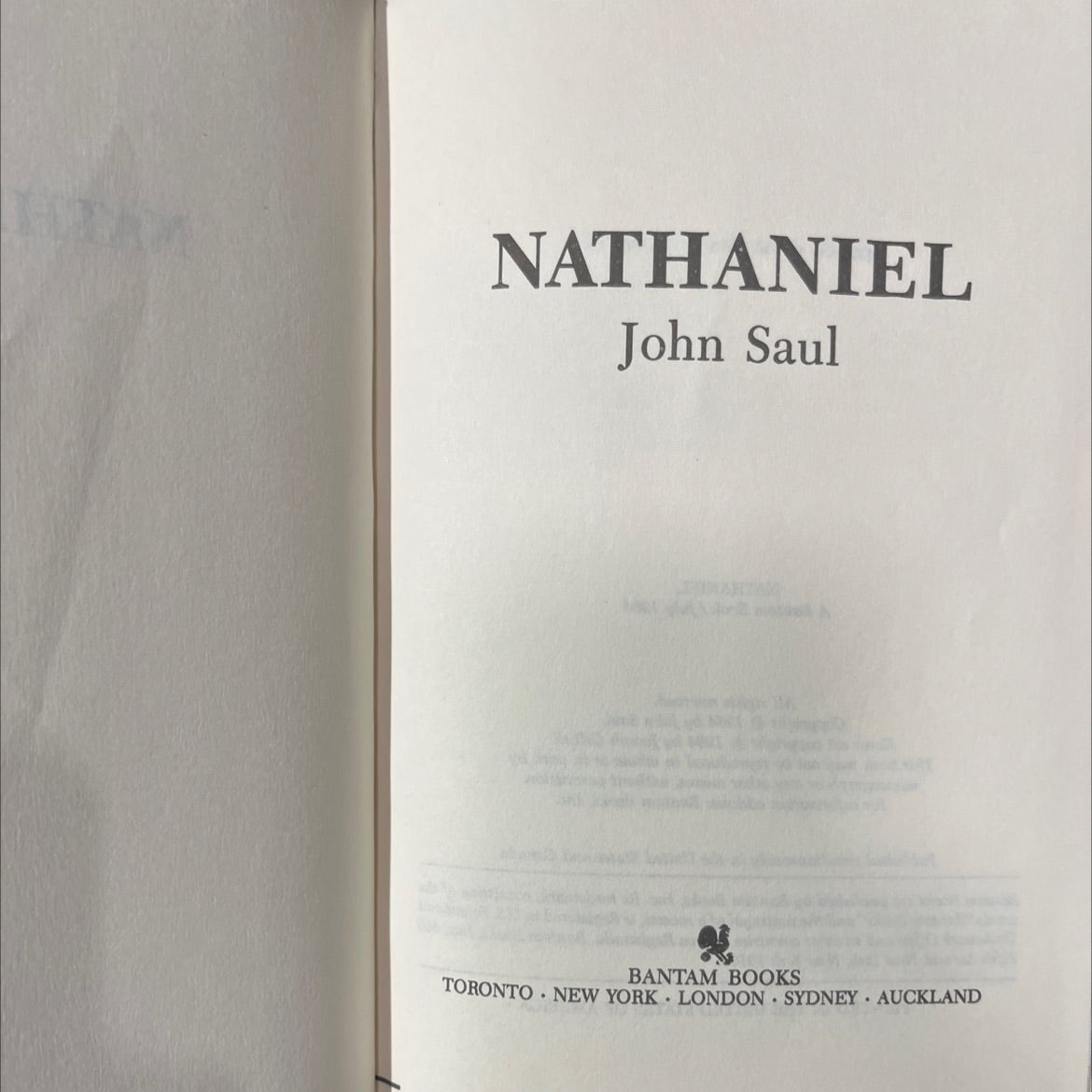 hiam nathaniel book, by John Saul, 1984 Hardcover image 2