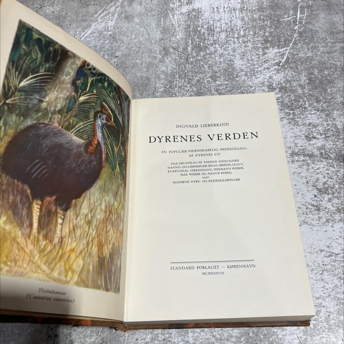 hjelmkasuar book, by ingvald lieberkind, 1937 Leather image 2