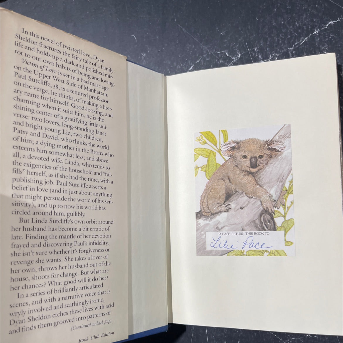 ho mitdiy victim of love book, by Dyan Sheldon, 1982 Hardcover image 4