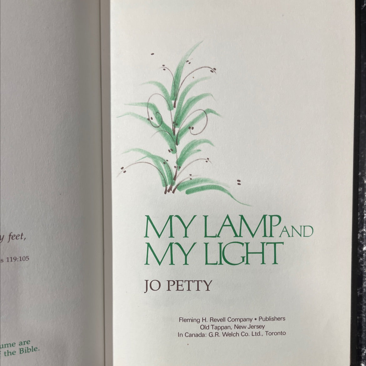 holy bible: my lamp and my light book, by Jo Petty, 1976 Hardcover image 2