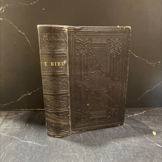 holy bible, old testament and new testament book, by unknown, 1882 Leather image 1