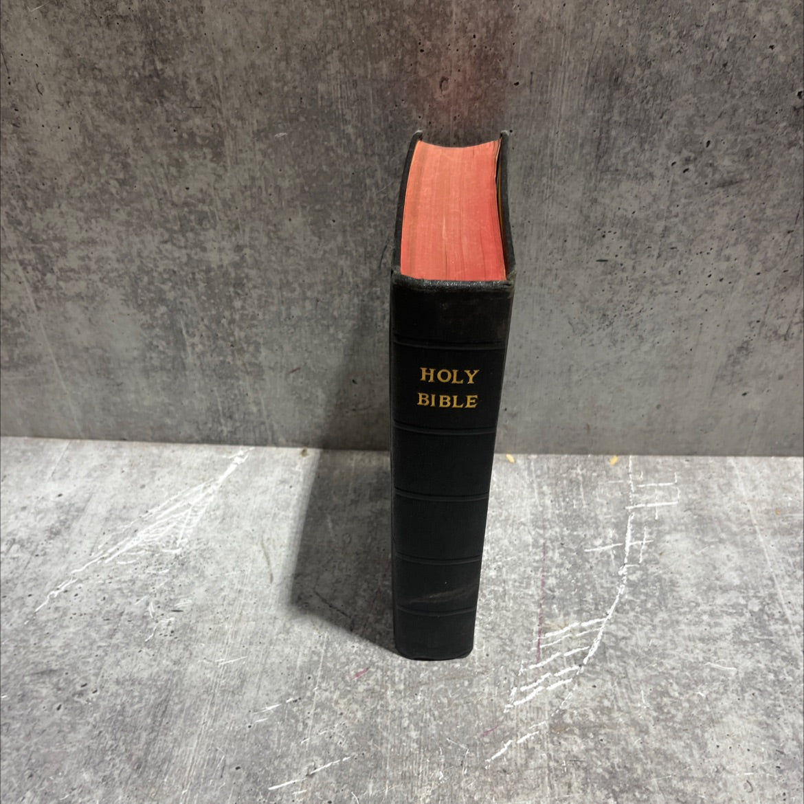holy bible containing the old and new testaments translated out of the original tongues and with the former image 4