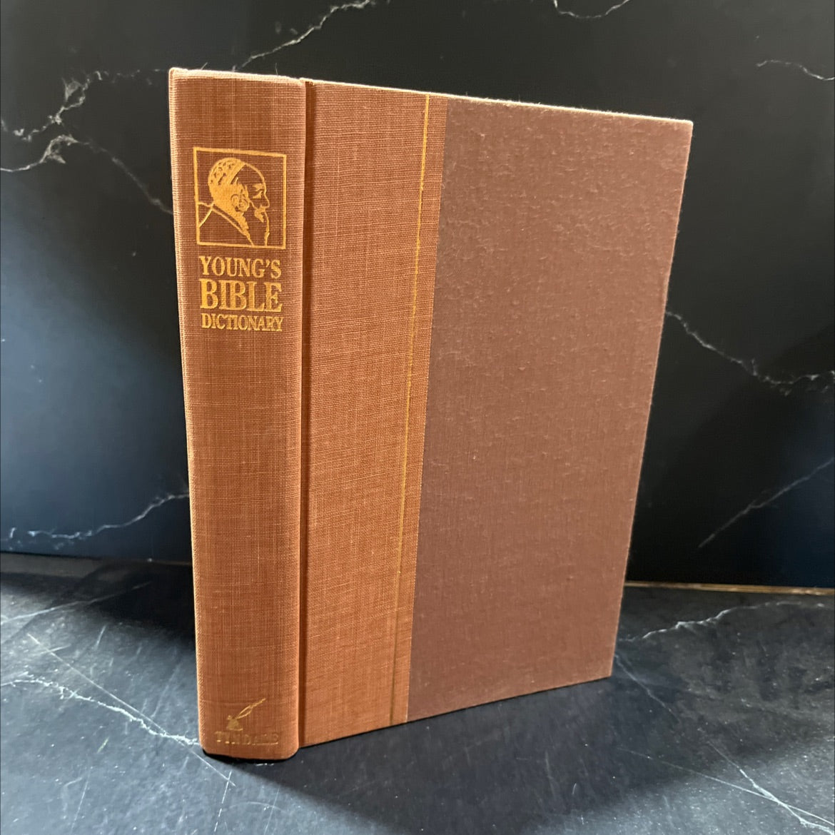 holy bible young's bible dictionary book, by Dr. G. Douglas Young, 1984 Hardcover image 1