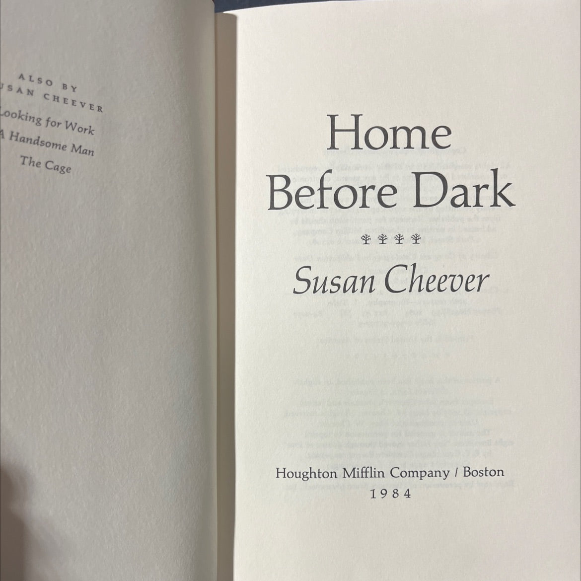 home before dark book, by Susan Cheever, 1984 Hardcover image 2