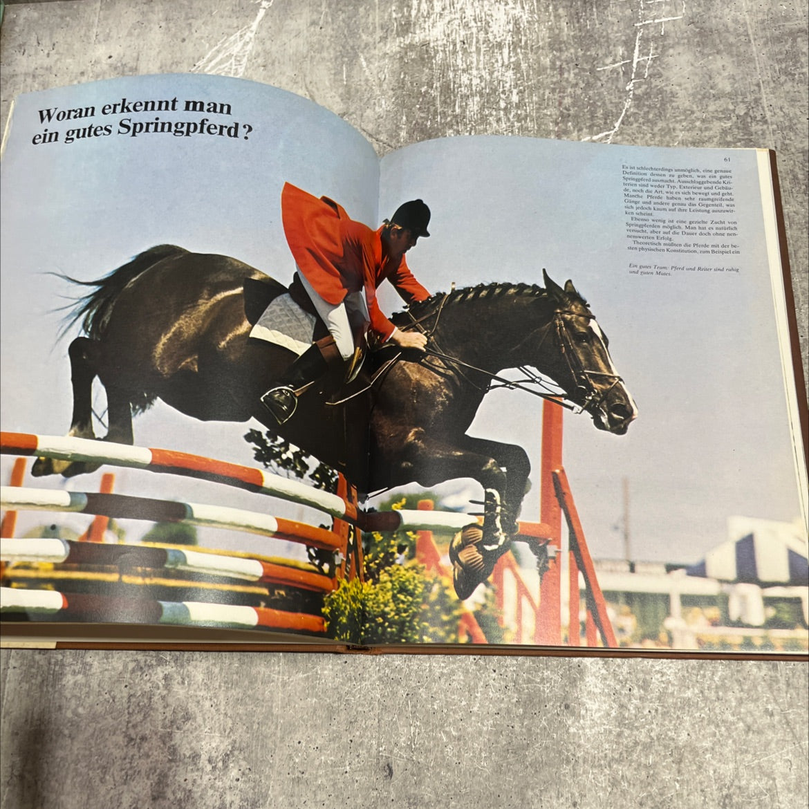 horses book, by Manfred Pawlak, 1984 Hardcover image 4