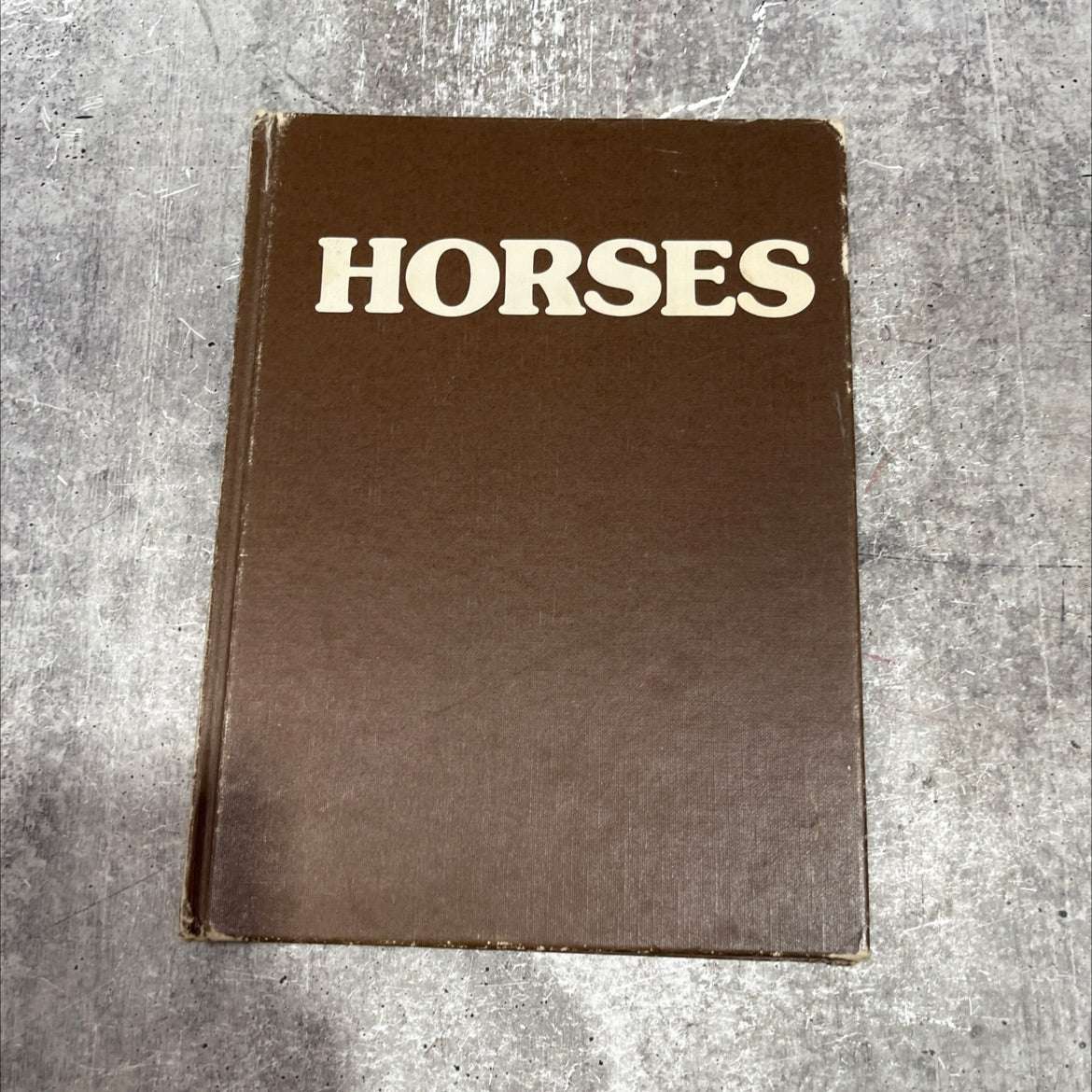 horses book, by jane burton, 1984 Hardcover image 1