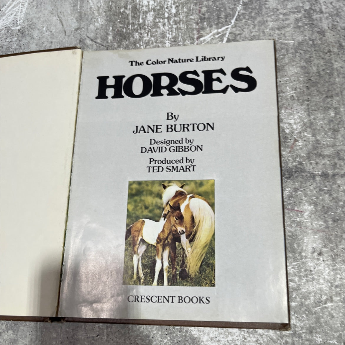 horses book, by jane burton, 1984 Hardcover image 2