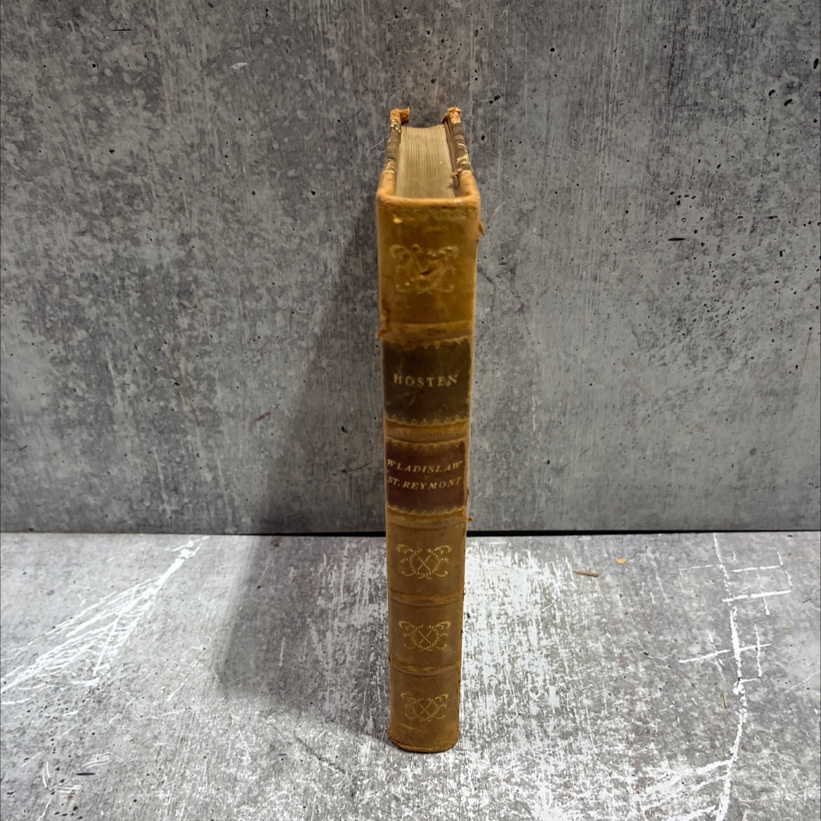 hosten book, by w. s. reymont, 1930 Leather image 4