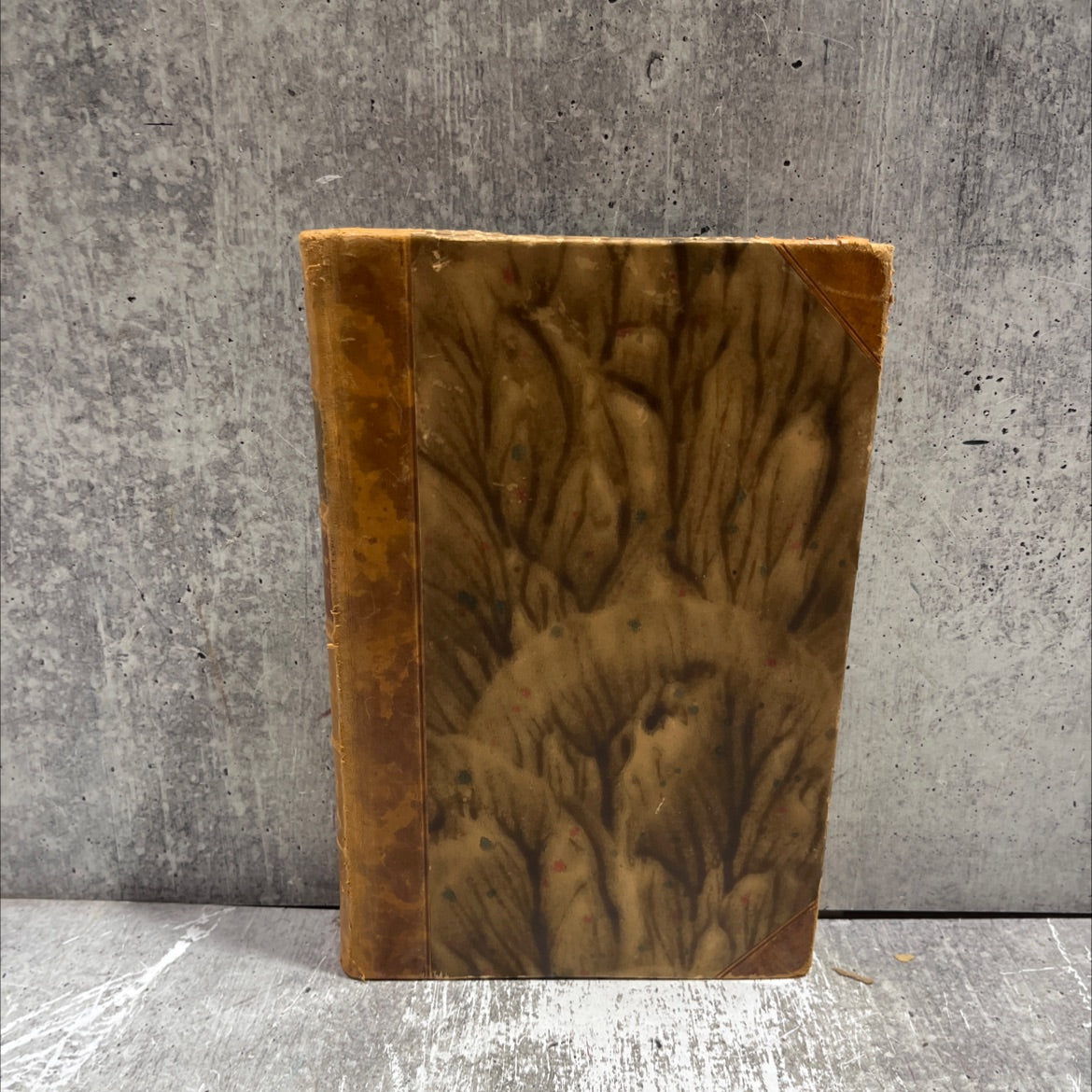 hosten book, by w. s. reymont, 1930 Leather image 1