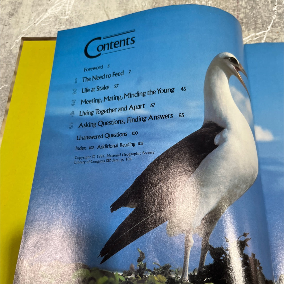 how animals behave book, by anthony bannister, 1984 Hardcover image 3