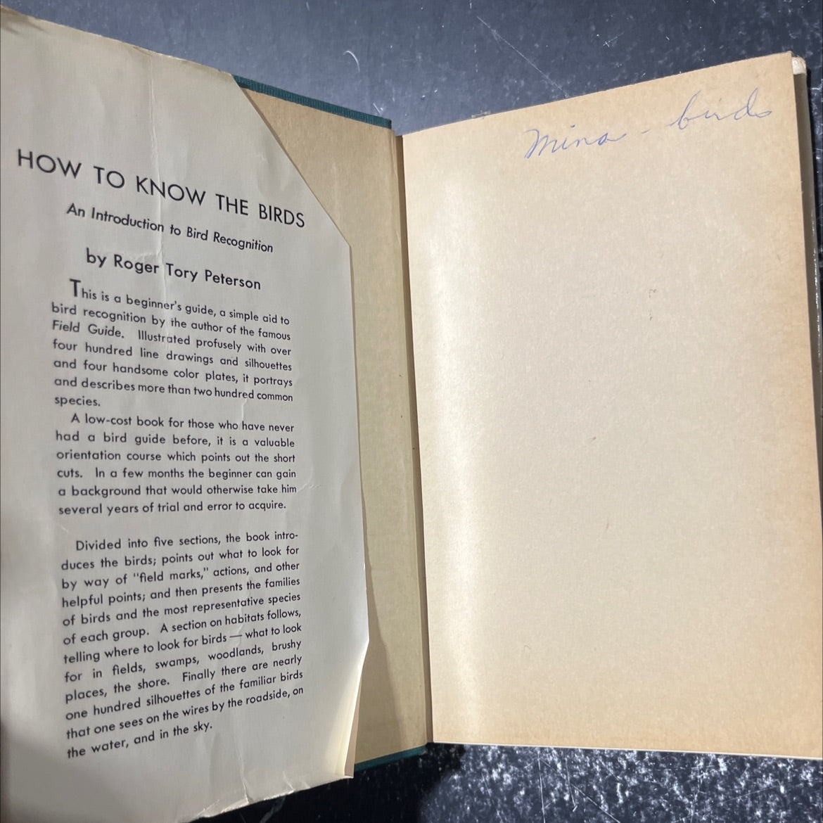 how to know the birds an introduction to bird recognition book, by roger tory peterson, 1949 Hardcover image 4