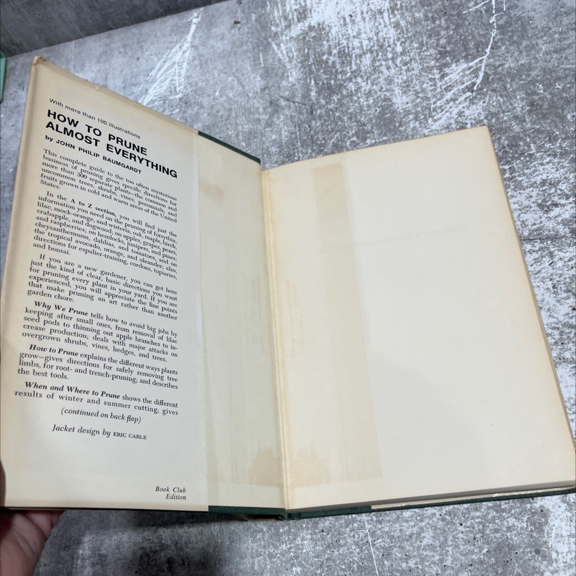 how to prune almost everything book, by john philip baumgardt, 1968 Hardcover image 4