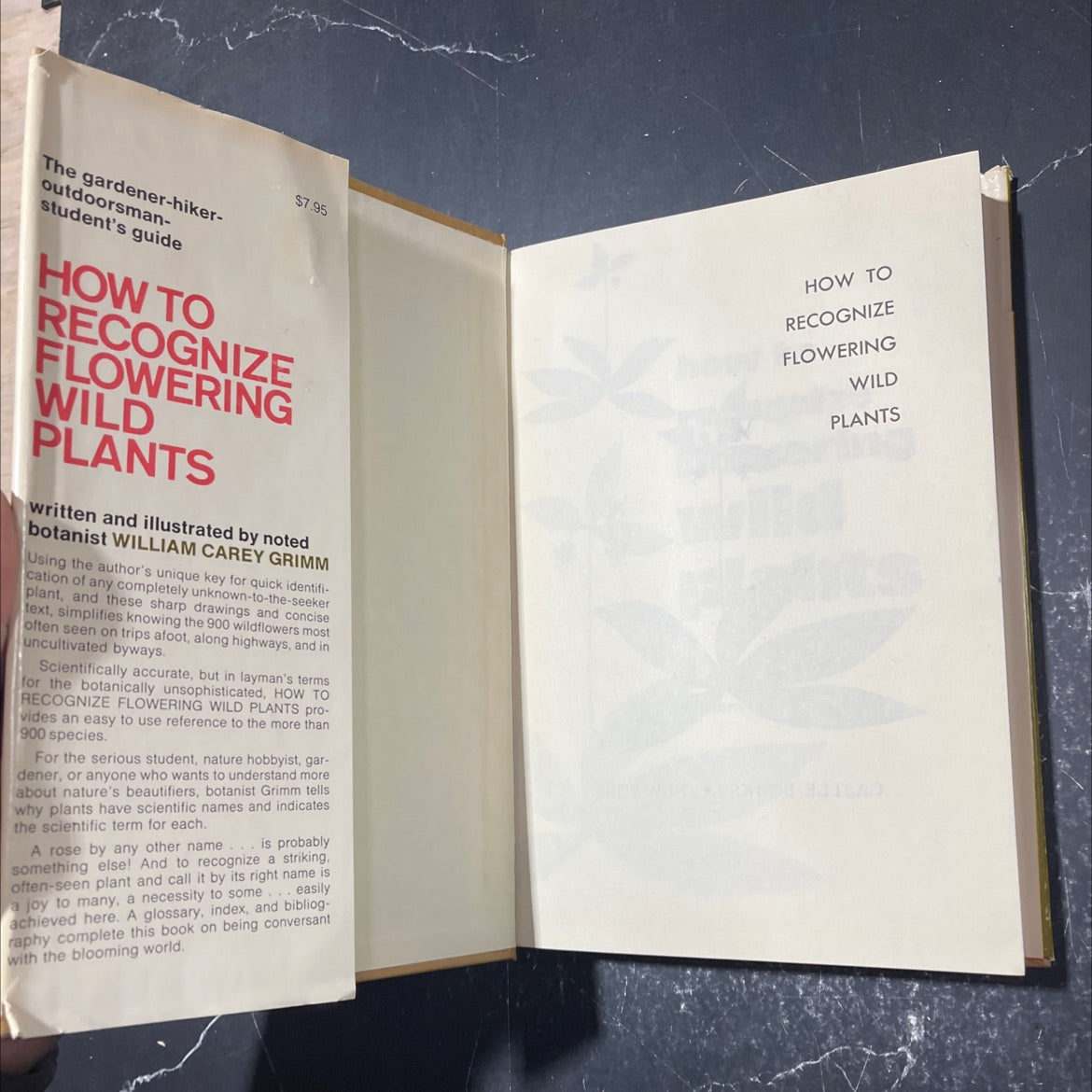 how to recognize flowering wild plants book, by William Carey Grimm, 1968 Hardcover image 4