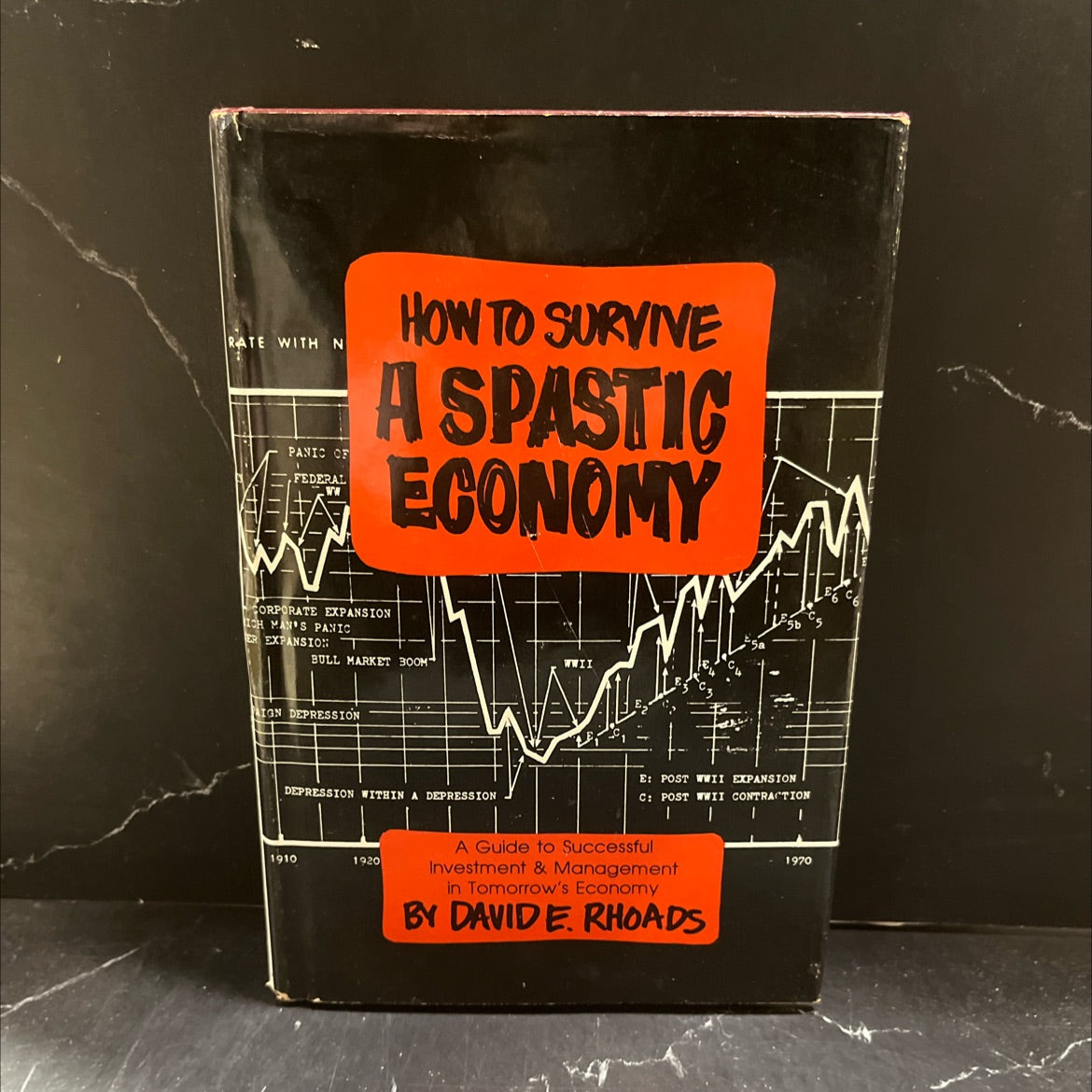 how to survive a spastic economy book, by David E. Rhoads, 1980 Hardcover image 1