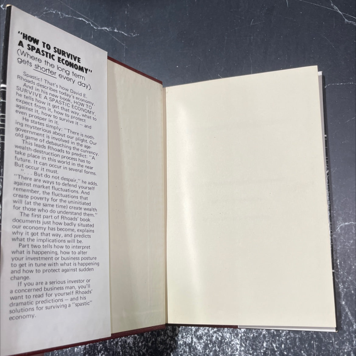 how to survive a spastic economy book, by David E. Rhoads, 1980 Hardcover image 4