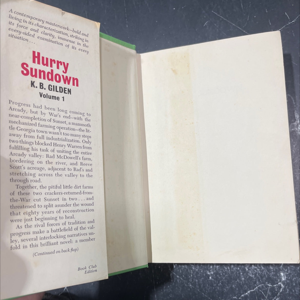 hurry sundown book, by K. B. Gilden, 1964 Hardcover image 4