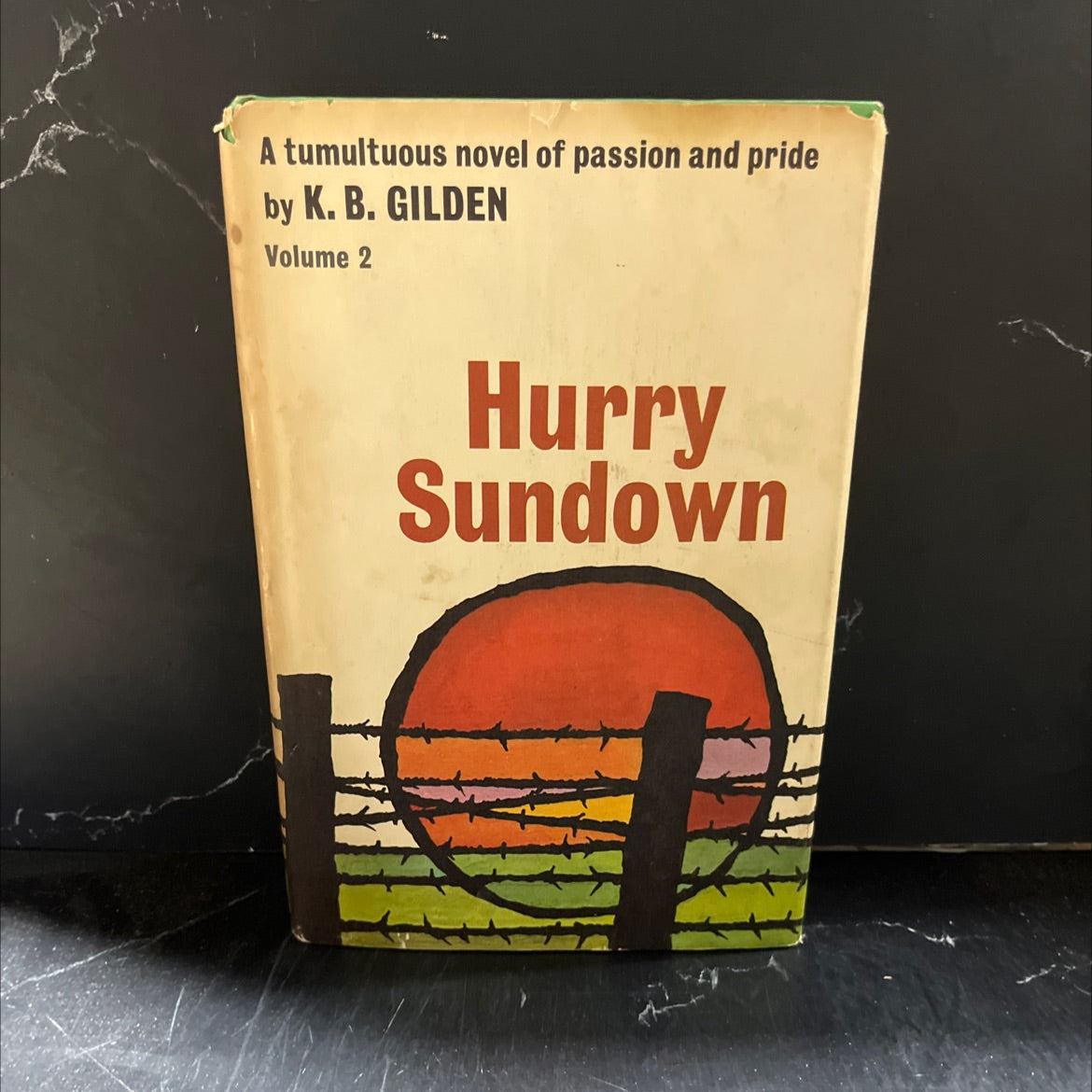 hurry sundown book, by K. B. Gilden, 1964 Hardcover image 1