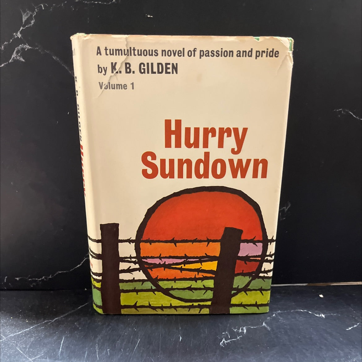 hurry sundown book, by K. B. Gilden, 1964 Hardcover image 1