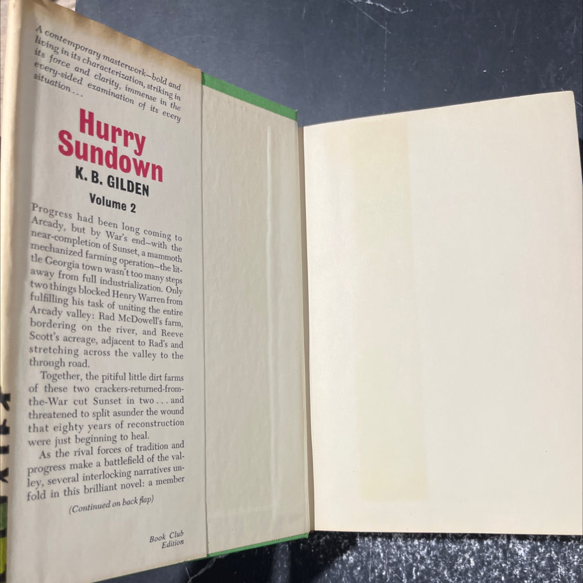 hurry sundown book, by K. B. Gilden, 1964 Hardcover image 4