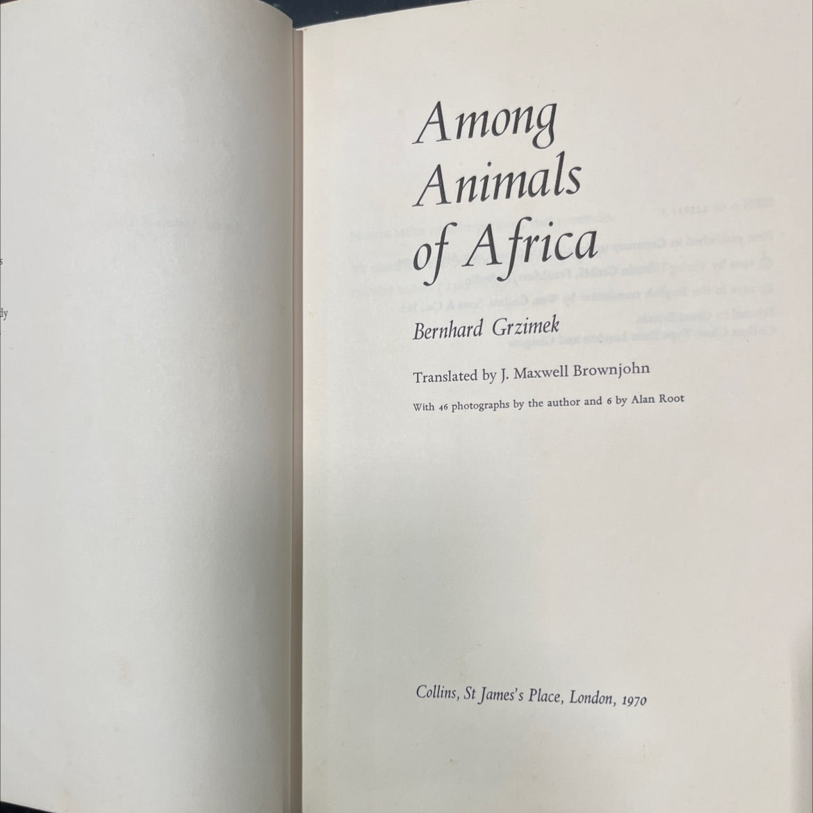 hy among animals of africa book, by bernhard grzimek, 1970 Hardcover image 2