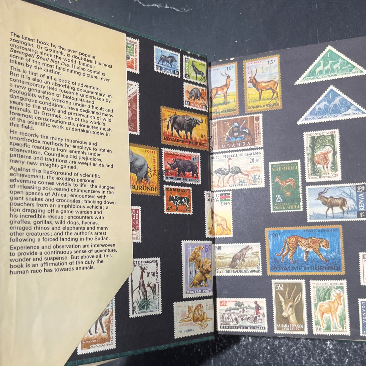 hy among animals of africa book, by bernhard grzimek, 1970 Hardcover image 4