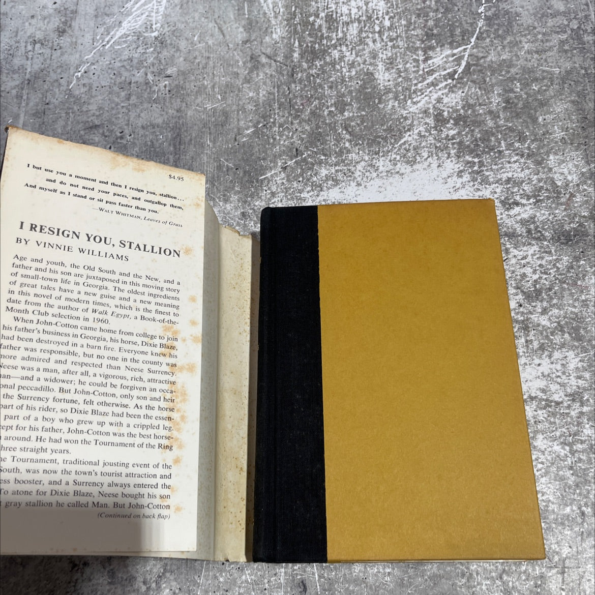 i resign you, stallion book, by vinnie williams, 1965 Hardcover image 4