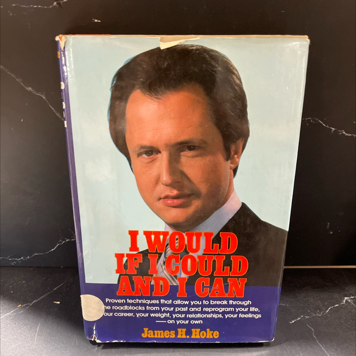i would if i could and i can book, by James H. Hoke, 1980 Hardcover image 1