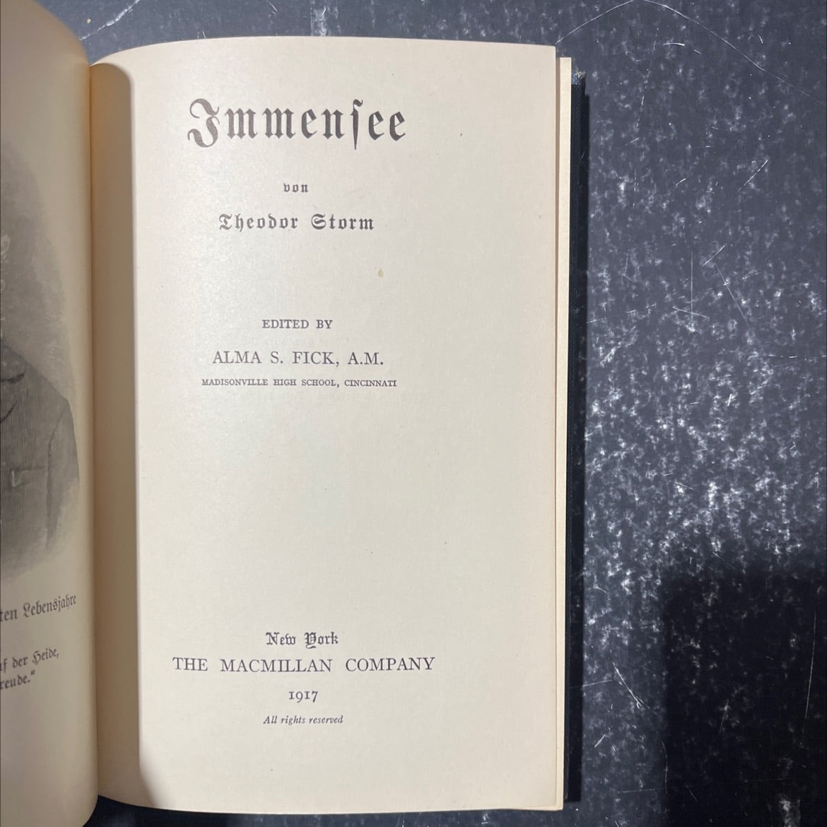 immensee book, by theodor storm, 1917 Hardcover image 2