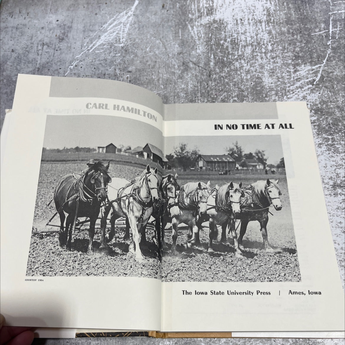 in no time at all book, by carl hamilton, 1981 Hardcover image 2