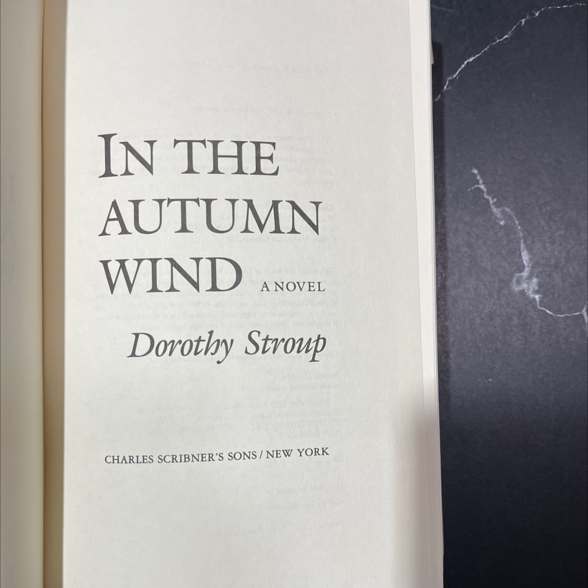 in the autumn wind book, by dorothy stroup, 1987 Hardcover image 2