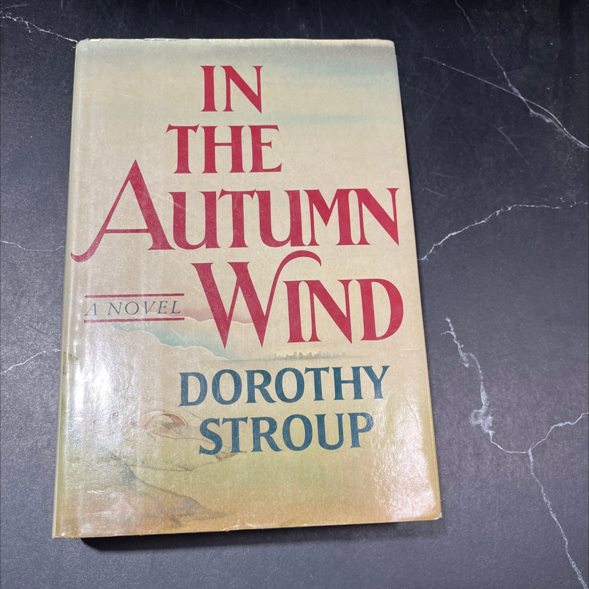 in the autumn wind book, by dorothy stroup, 1987 Hardcover image 1