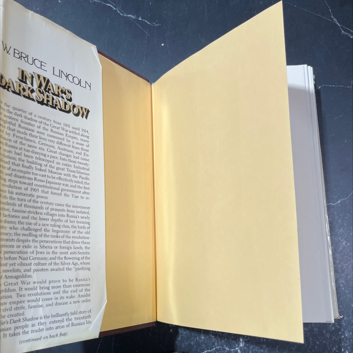 in war's dark shadow book, by w. bruce lincoln, 1983 Hardcover image 4