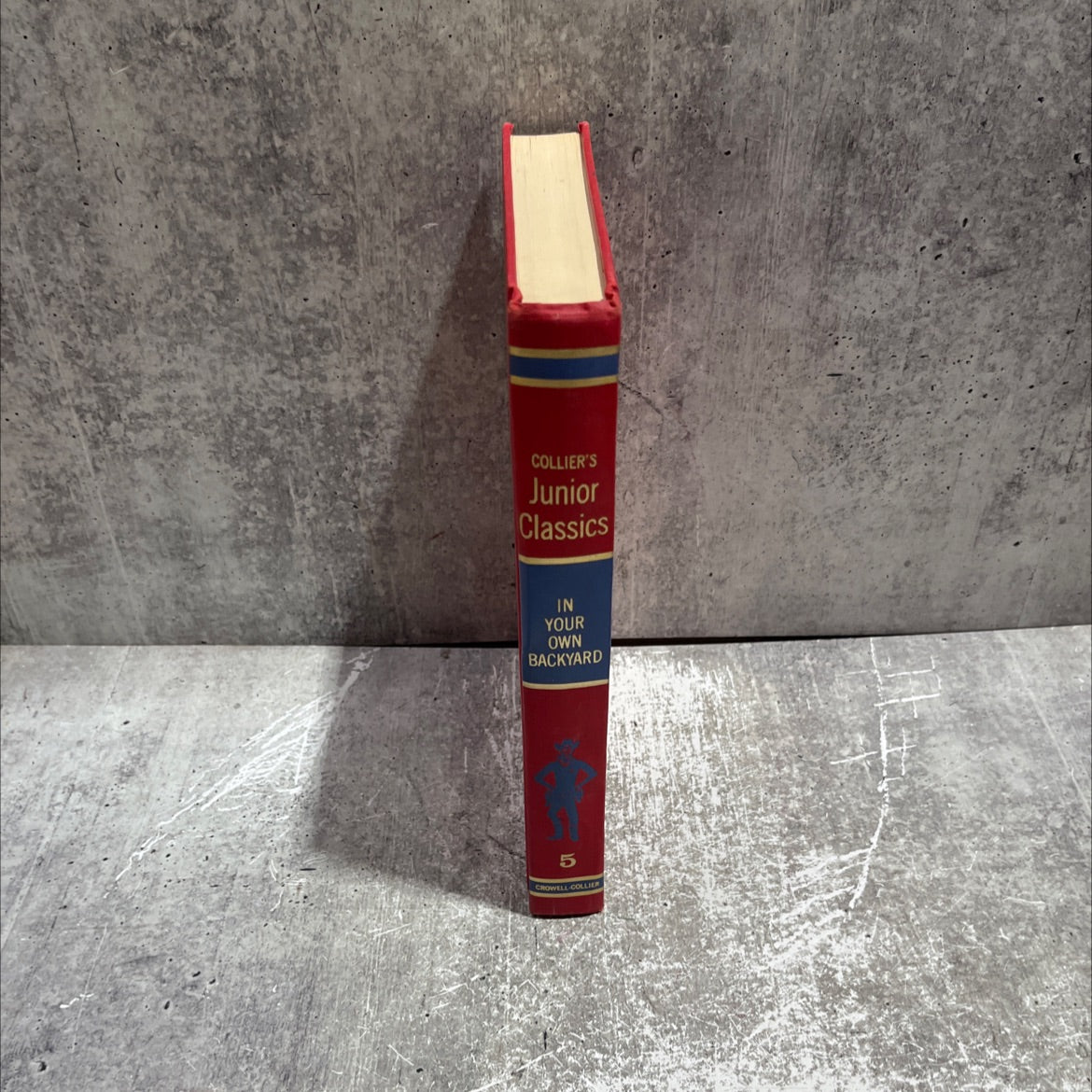 in your own backyard book, by unknown, 1962 Hardcover image 4