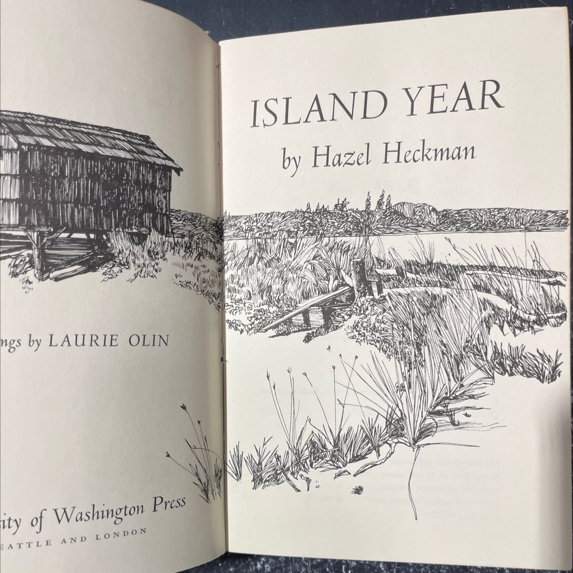 island year book, by Hazel Heckman, 1972 Hardcover image 2