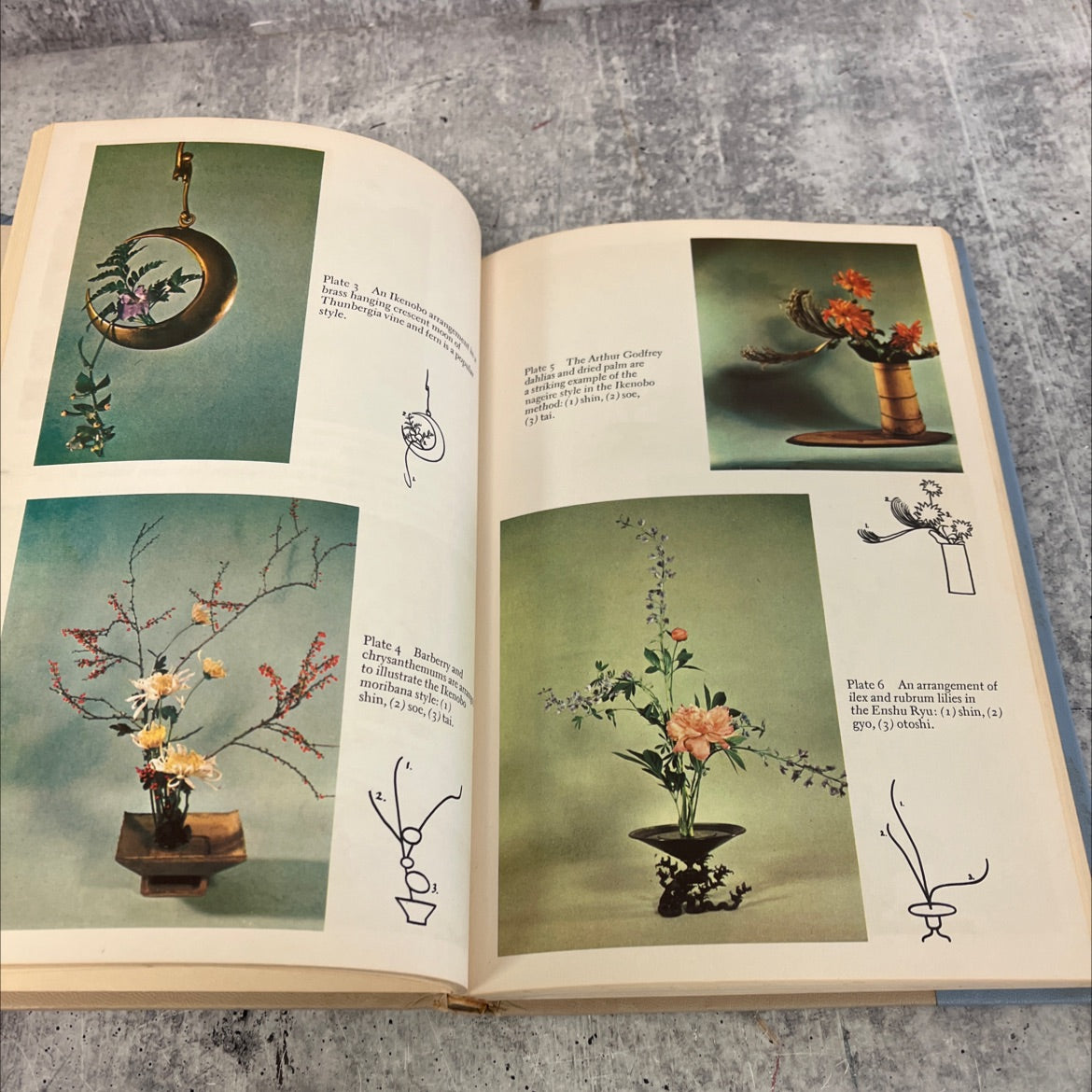 japanese flower arrangement notebook book, by patricia kroh, 1962 Hardcover image 4