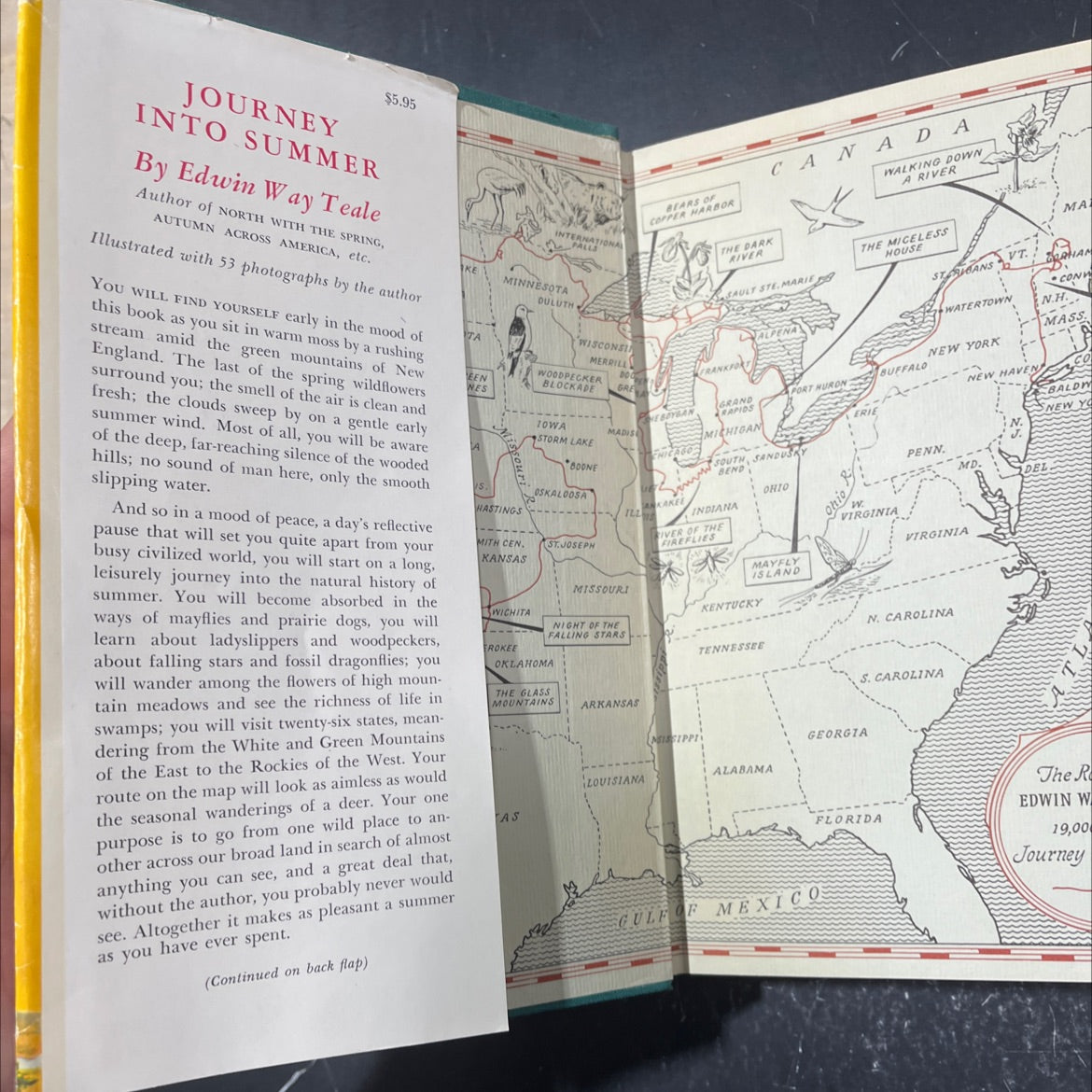 journey into summer book, by edwin way teale, 1960 Hardcover image 4