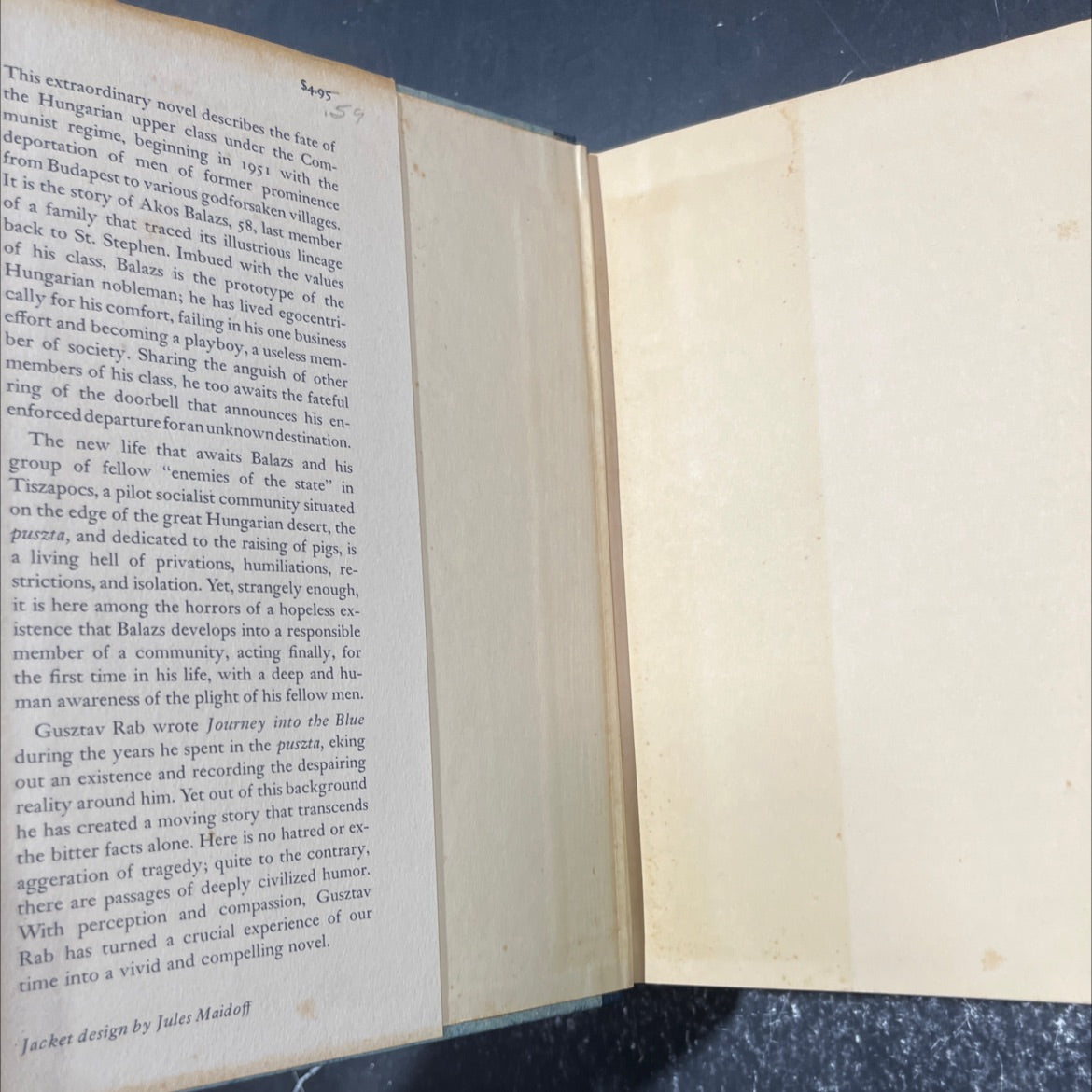 journey into the blue book, by gusztav rab, 1960 Hardcover image 4