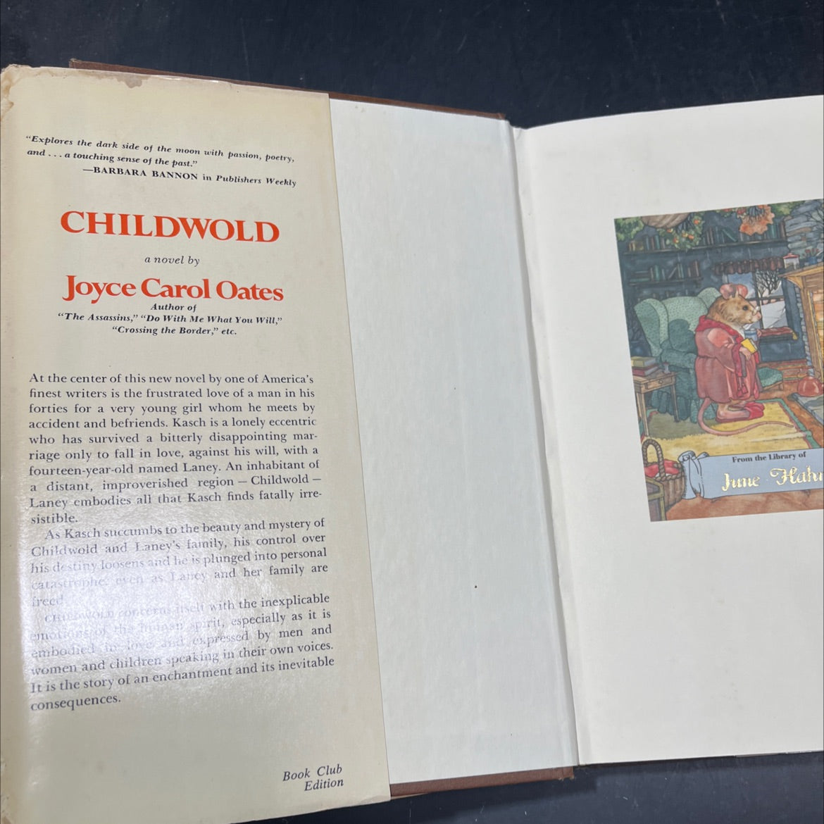 joyce carol oates book, by Joyce Carol Oates, 1976 Hardcover image 4