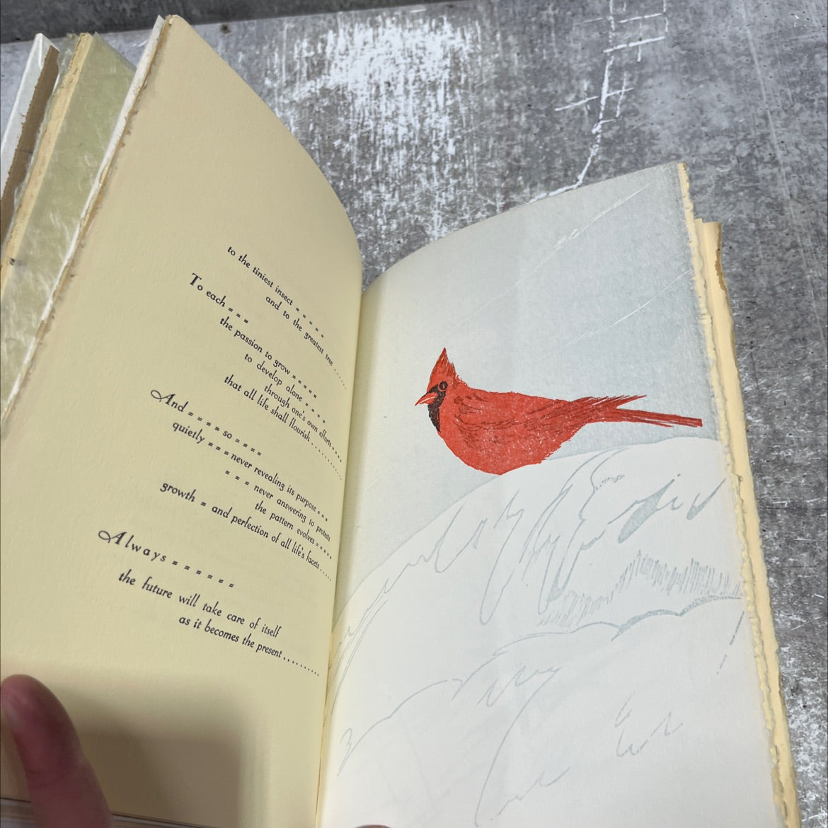 juraps of hist julsps maliges of hist fantastic book, by unknown, 1970 Hardcover image 4