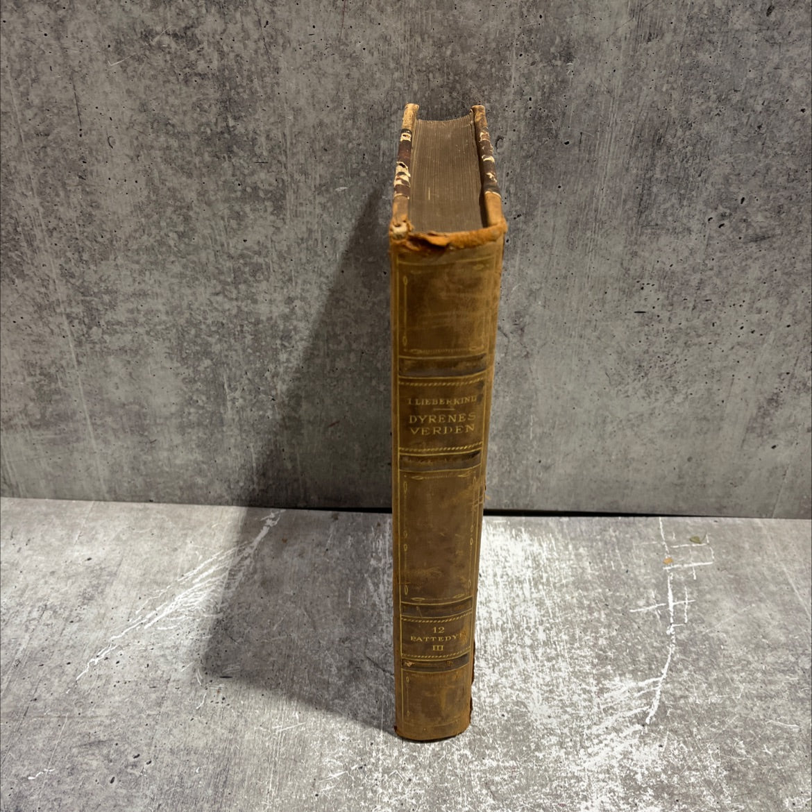 kudu book, by ingvald lieberkind, 1937 Leather image 4