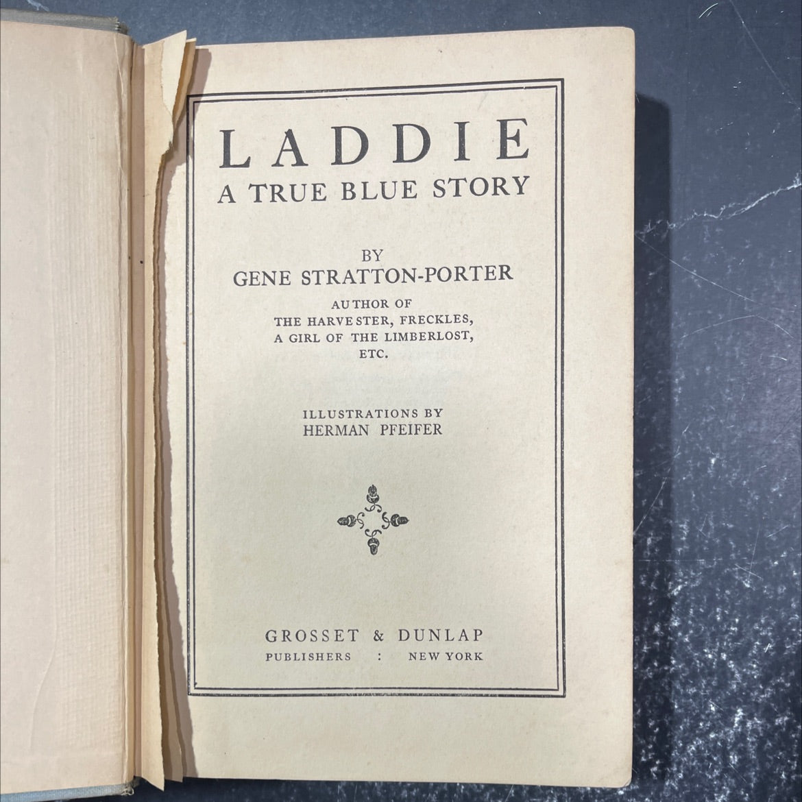 laddie a true blue story book, by gene stratton-porter, 1913 Hardcover image 2