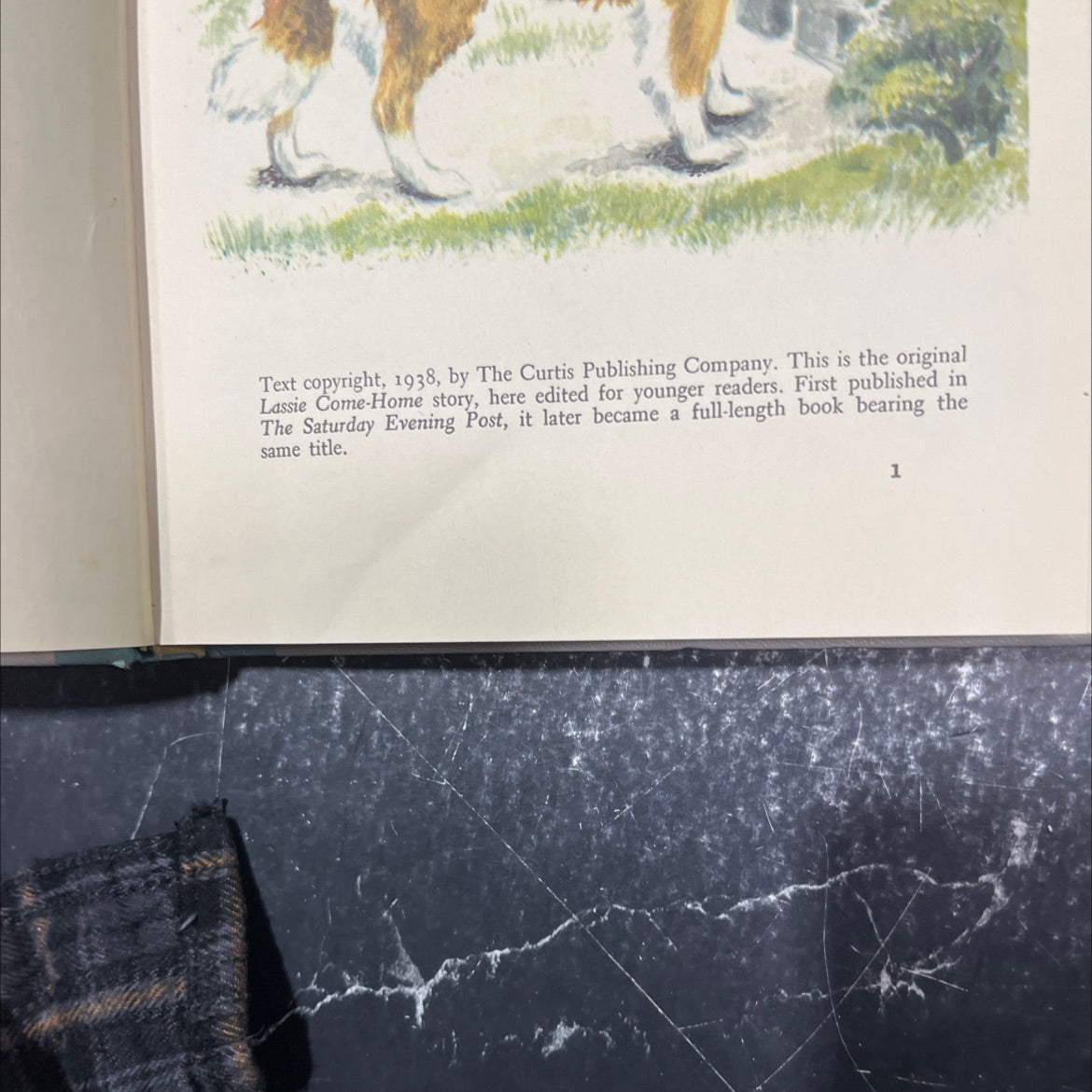 lassie come-home book, by eric knight, 1938 Hardcover image 3