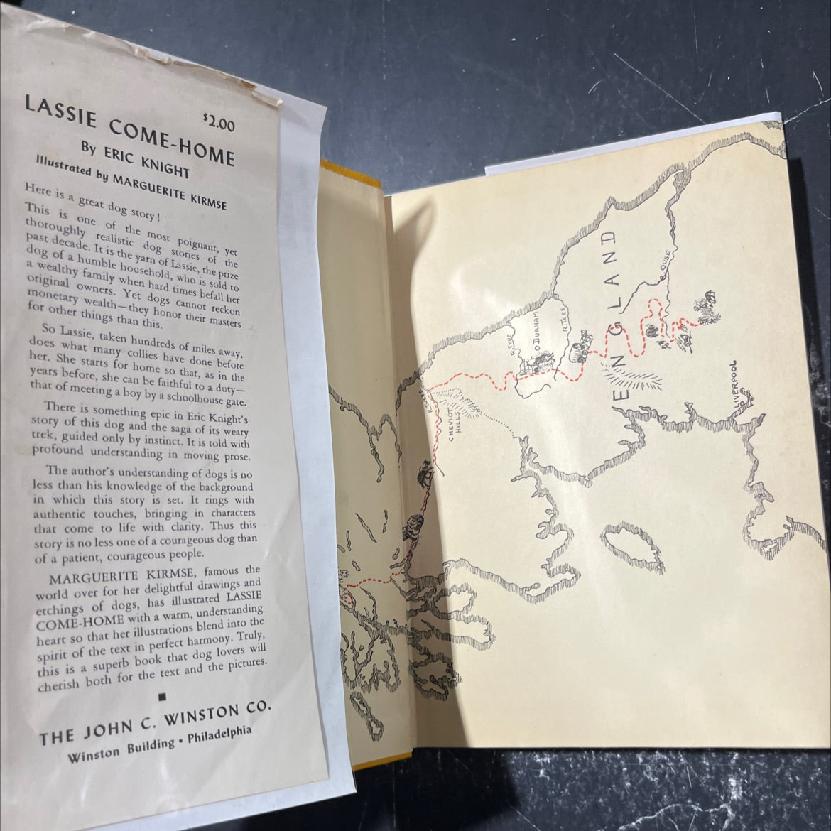 lassie come home book, by eric knight, 1945 Hardcover image 4