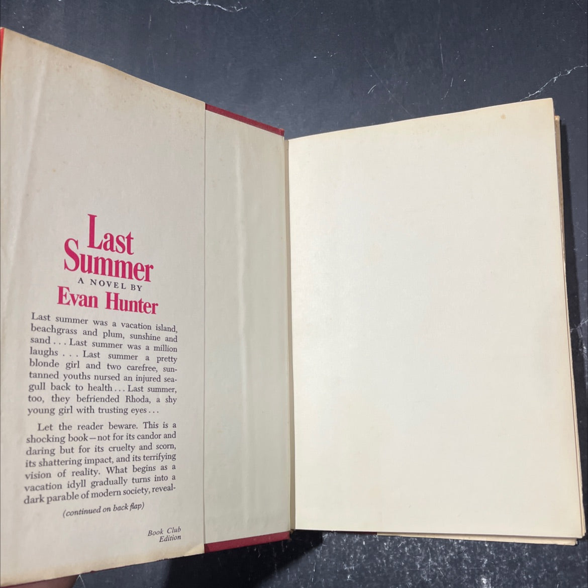 last summer book, by evan hunter, 1968 Hardcover image 4
