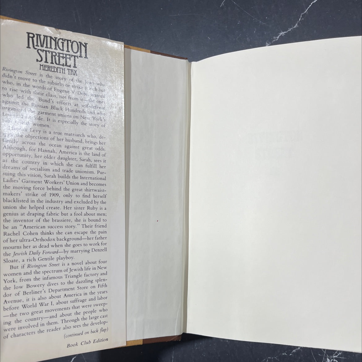 late rivington street book, by meredith tax, 1982 Hardcover image 4