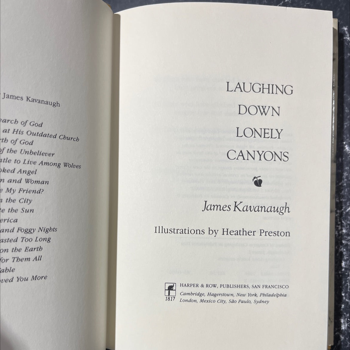 laughing down lonely canyons book, by James Kavanaugh, 1984 Hardcover image 2