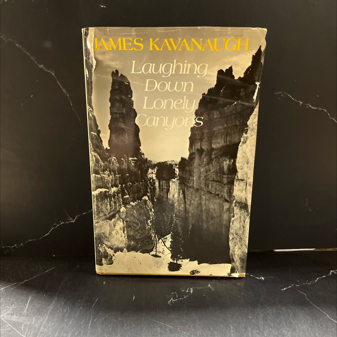 laughing down lonely canyons book, by James Kavanaugh, 1984 Hardcover image 1