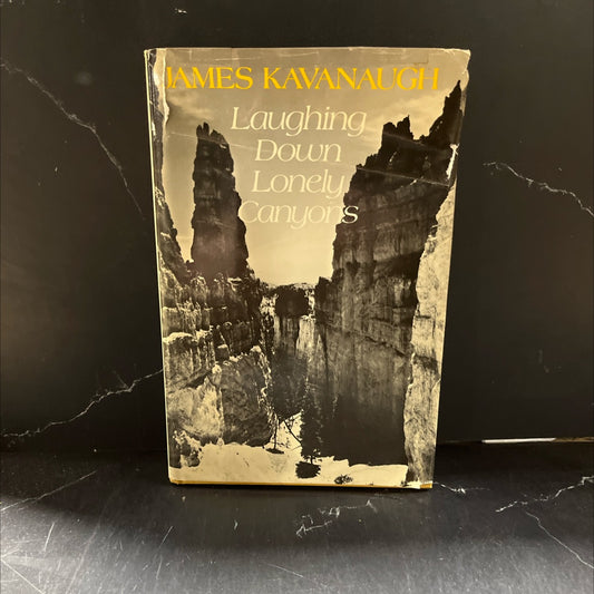 laughing down lonely canyons book, by James Kavanaugh, 1984 Hardcover image 1